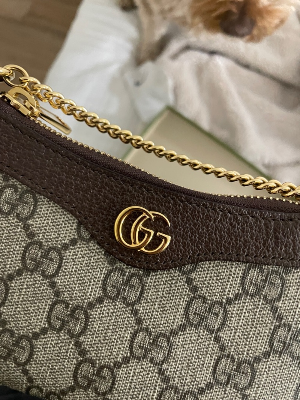 Gucci Ophidia Mini GG Supreme Shoulder Bag in Beige and Brown with Gold Hardware - Picture 12 of 12